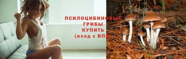 сатива Алексеевка