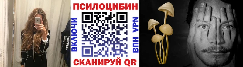 цены наркотик  Юрьев-Польский  Псилоцибиновые грибы ЛСД 